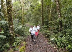 Trail in a national park in Volcan and Cerro Punta Panama – Best Places In The World To Retire – International Living