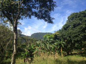Hiking in El Valle, Panama – Best Places In The World To Retire – International Living