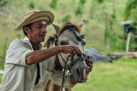 Pedasi Horseback Riding – Best Places In The World To Retire – International Living